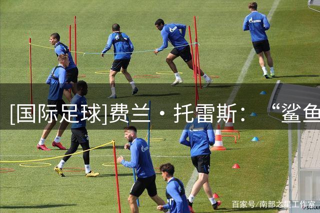 [国际足球]费兰·托雷斯：“鲨鱼”的进化